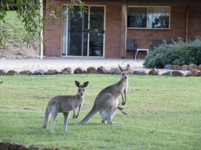 Others 3, Rubyvale Motel & Holiday Units - An Adults Only Getaway, Emerald