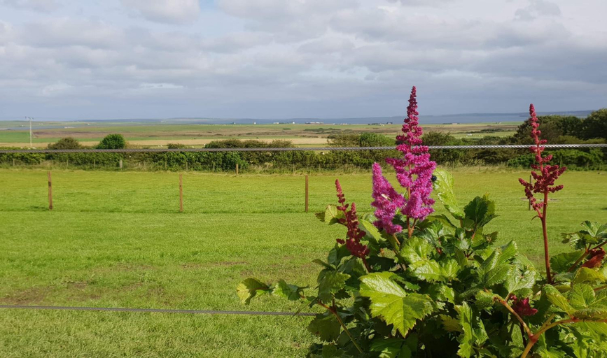 Others 3, Lilly's Lodges Orkney Hedgehog Lodge, Orkney Islands