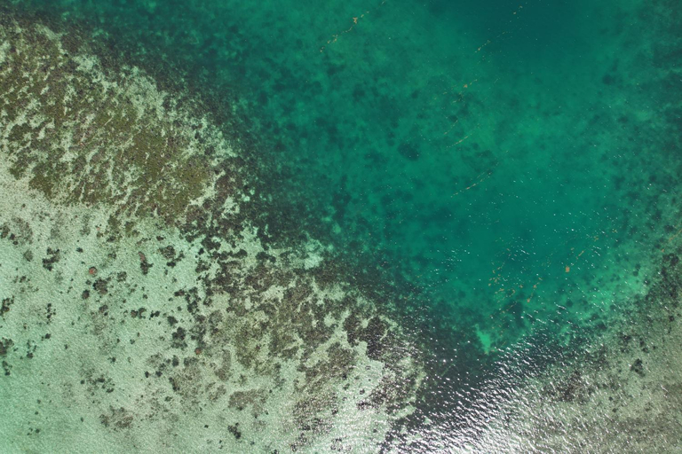 Others 4, EAST KEYS - Lucy's Bay, Le Robert