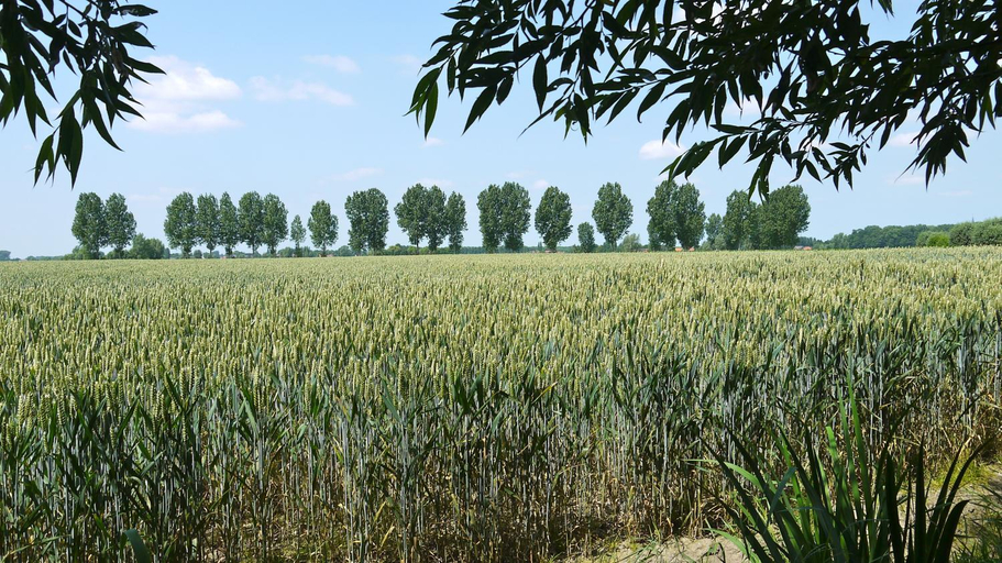 Others 4, B&B Hemel & Haard, Oost-Vlaanderen