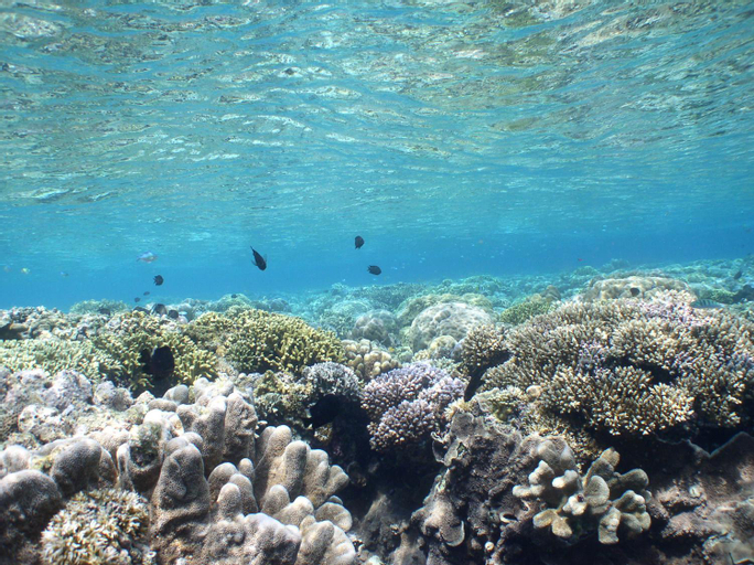 Scenery 20