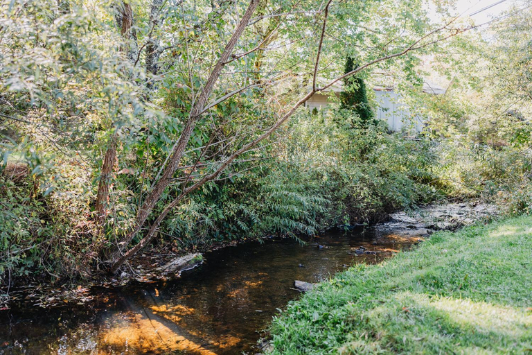 Others 5, Oak Haven Condo - Downtown Blowing Rock Fully Stocked with 2 King Beds, Watauga