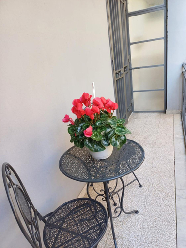 Others 3, B&B Girasoli, Salerno