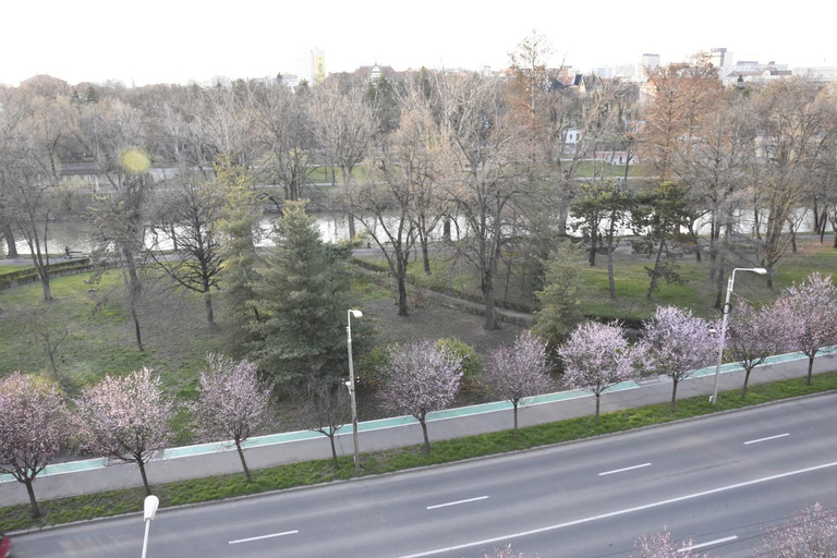 Others 3, Riverside, Timisoara