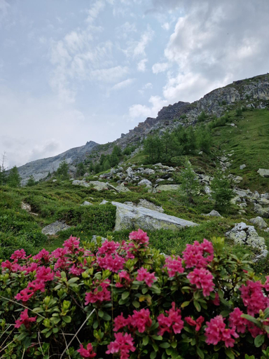 Others 2, Almgasthaus Glocknerblick, Spittal an der Drau