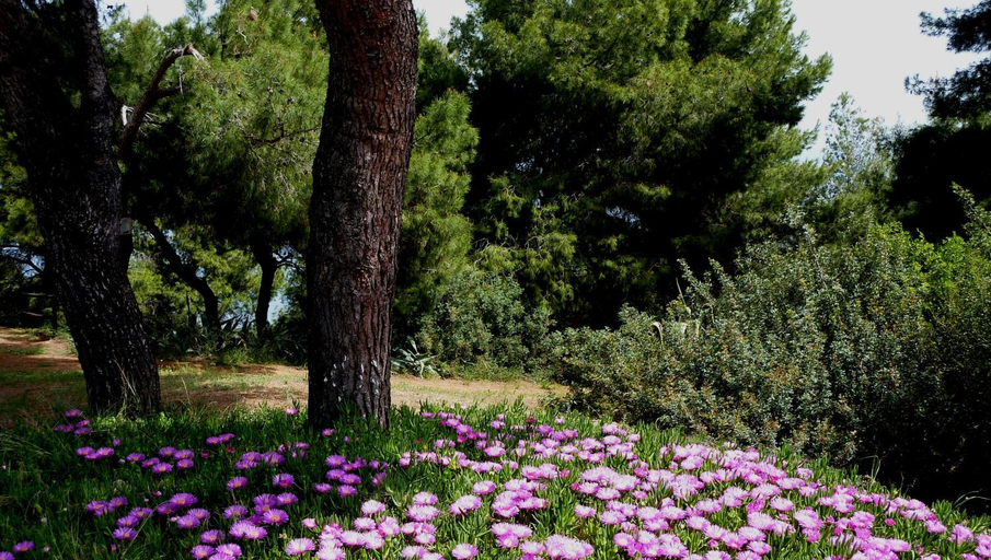 Others 5, Villa Oasis, Central Macedonia