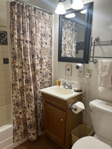 Bathroom 3, Canyon Rose Hotel, Cochise