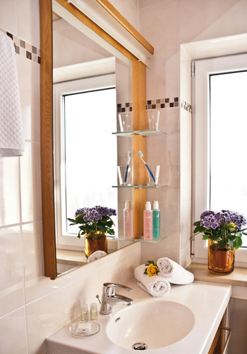 Bathroom, Glashotel, Regen