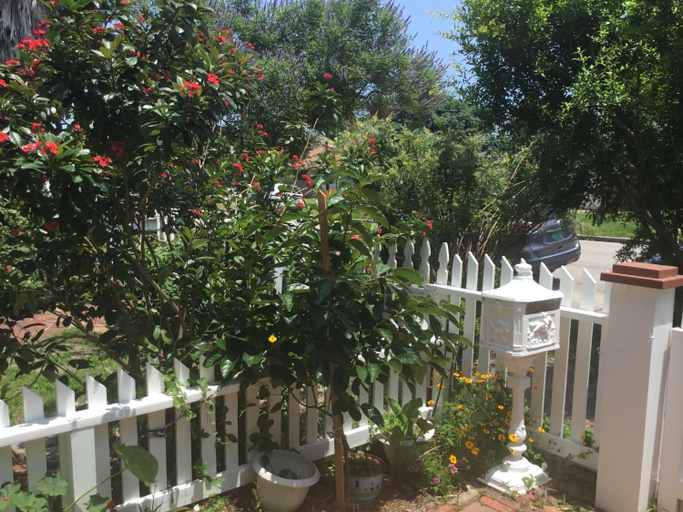 Others 4, Studio apartment at Historical House, Galveston