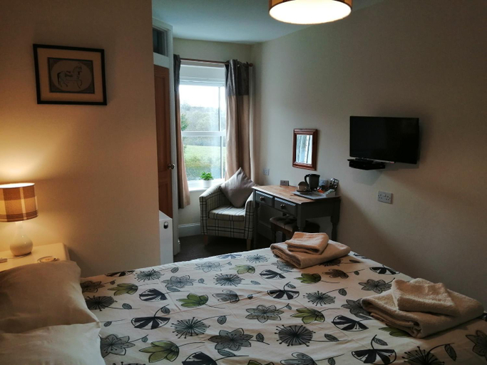 Others 5, Lion Hotel, Powys