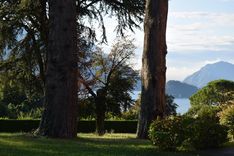 Others 5, Landscapesilvia PT Terra, Como