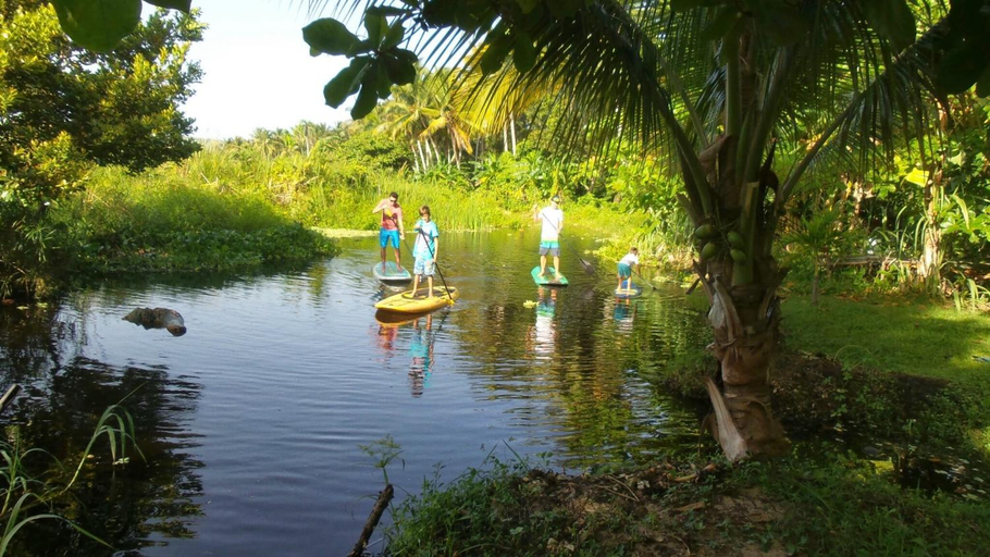 Others 3, Method Living Tropical Edition 50024, Sosua
