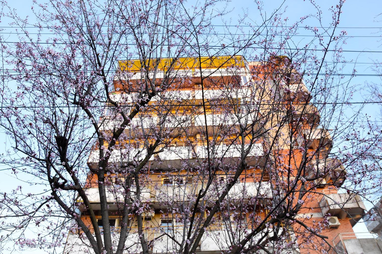 Others 4, Riverside, Timisoara