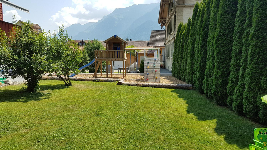 Others 4, Hirschen, Interlaken