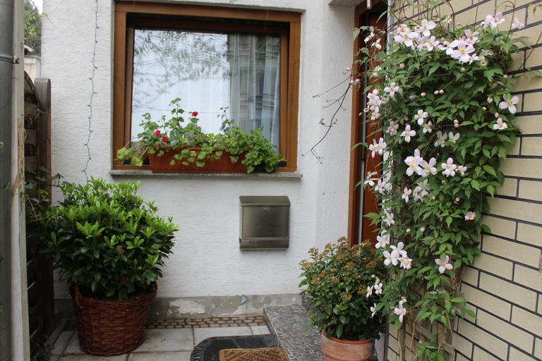 Others 4, Apartment Ramersdorf, Bonn