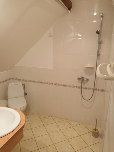Bathroom 1, Bebru pirts, Aizkraukle