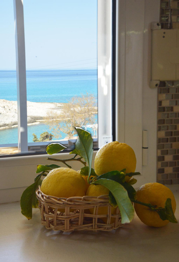 Food & Drinks 5, Mytakas Houses, South Aegean
