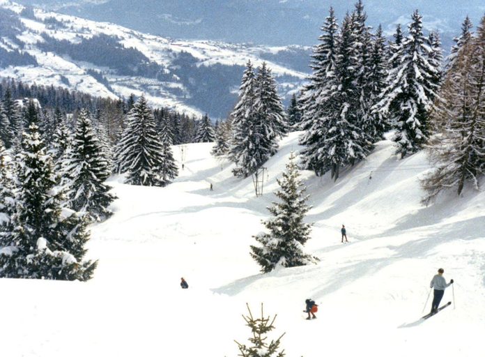 Others 4, Woodland Village Anzere, Hérens