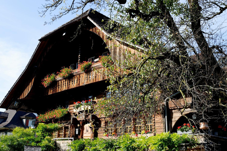 Hirschen, Interlaken