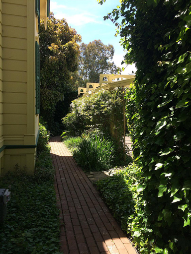 Scenery 1