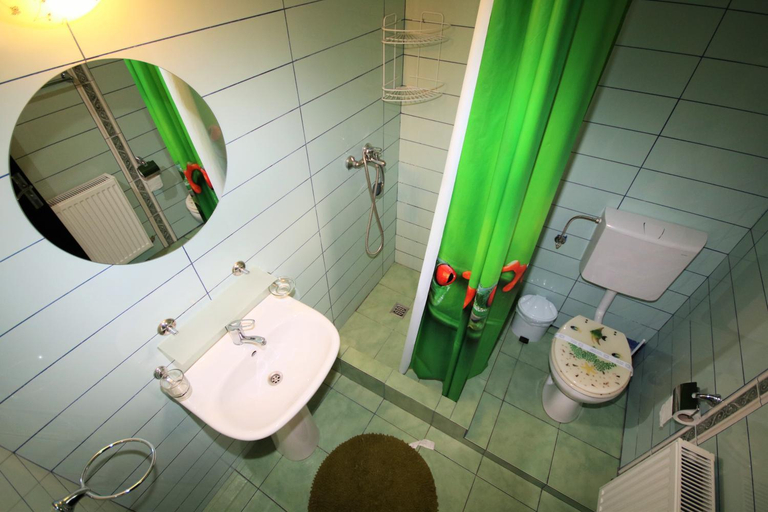 Bathroom 3, Pensiunea Ciobanelu, Malaia