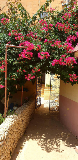 Others 2, B&b Seaview terrace