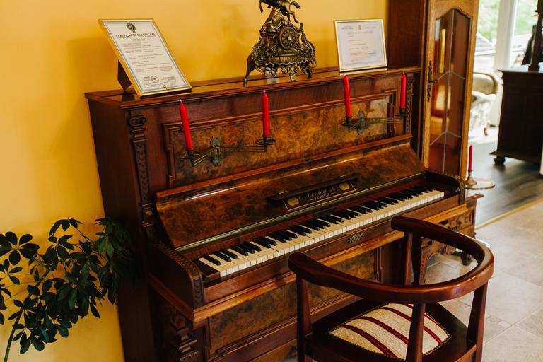 Public Area 2, Hotel Dobsi, Bazna
