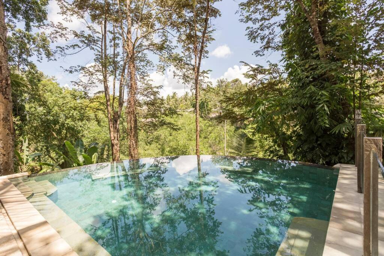 Swimming Pool 16