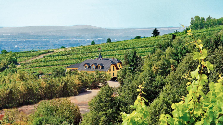 Exterior & Views 5, Gastezimmer Hans-Norbert Mack, Rheingau-Taunus-Kreis