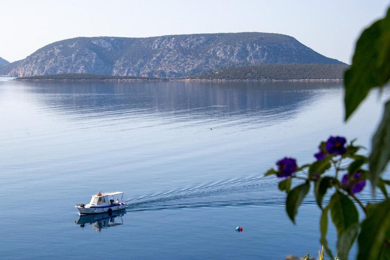 Others 5, Grand Bleu Apartments & Villas, Peloponnese