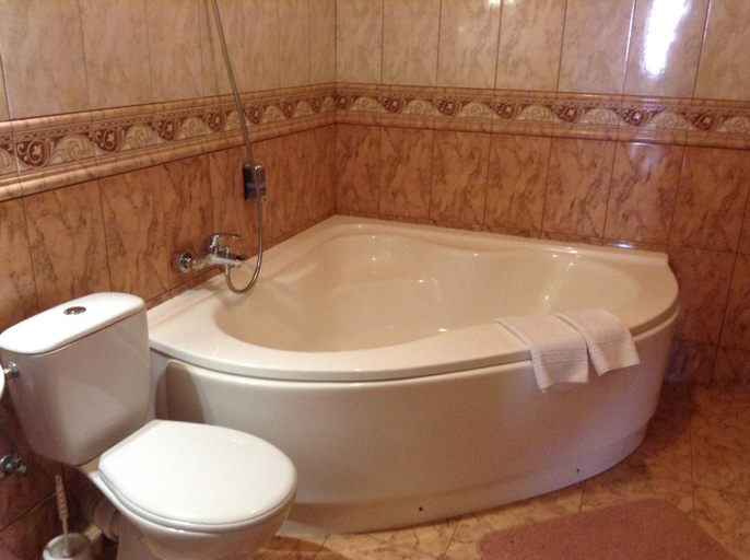 Bathroom 4, Hotel Serpanok, Tiachivs'kyi