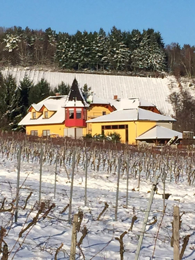 Gastezimmer Hans-Norbert Mack, Rheingau-Taunus-Kreis