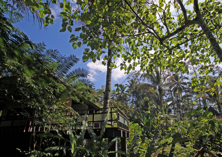 Exterior 3