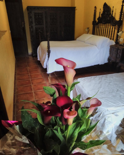 Bedroom 2, Caseria la Infiesta, Asturias