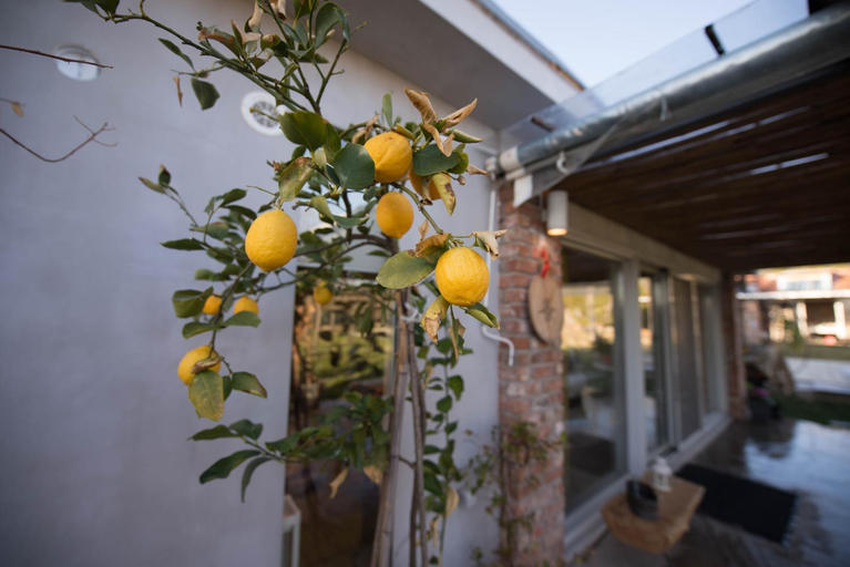 Others 2, Sinanis Garden House, Thessaly