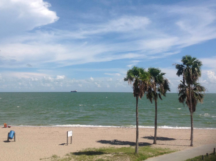 Others 5, Spectacular Beach View!, Nueces