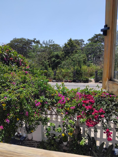 Others 5, Vindy House, Đà Lạt