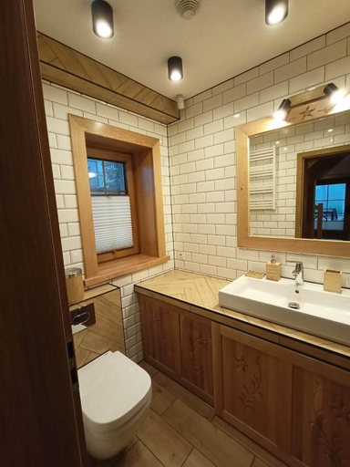 Bathroom, Domek Szarotka, Tatra