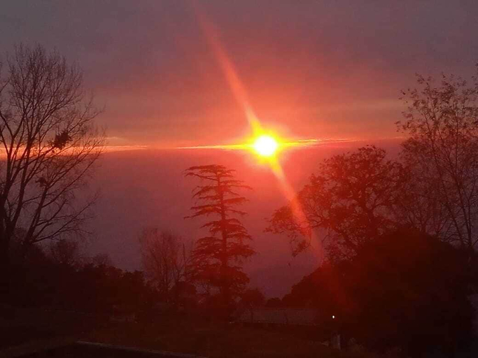 Others 5, Leela Heritage Villa, Kangra