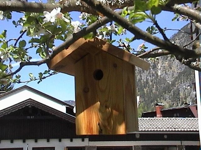 Others 4, Haus Waldfriede, Schwaz