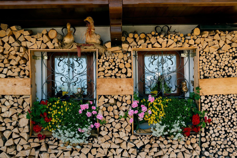 Others 3, Haus Karoline, Traunstein