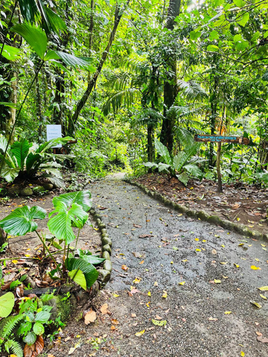 Others 4, Wellness Park CR, San Carlos