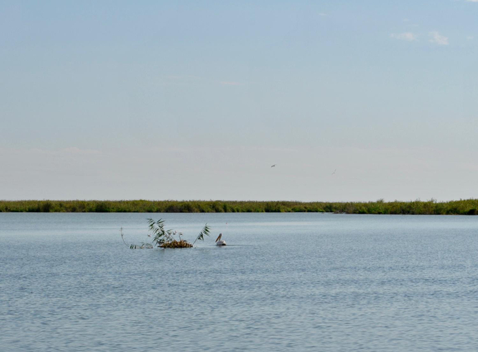 Others 3, Delta Marina, Sfantu Gheorghe