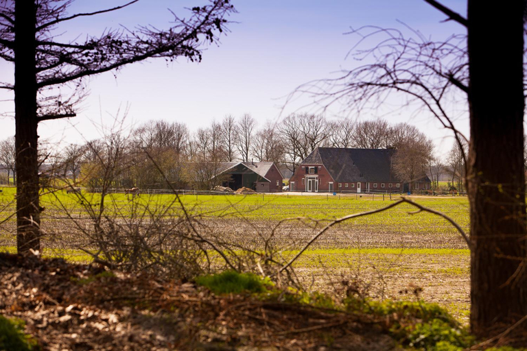 Others 3, Bed And Breakfast Geertruidahoeve, Hellendoorn
