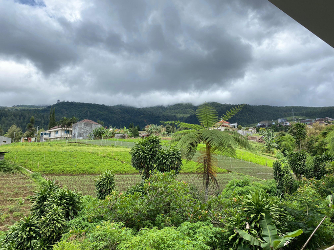 Scenery 20