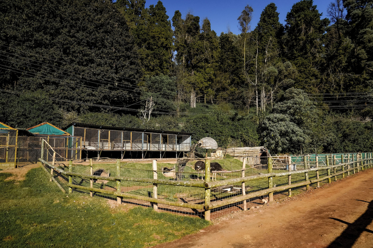 Exterior & Views 2, Virgin Valley, The Nilgiris