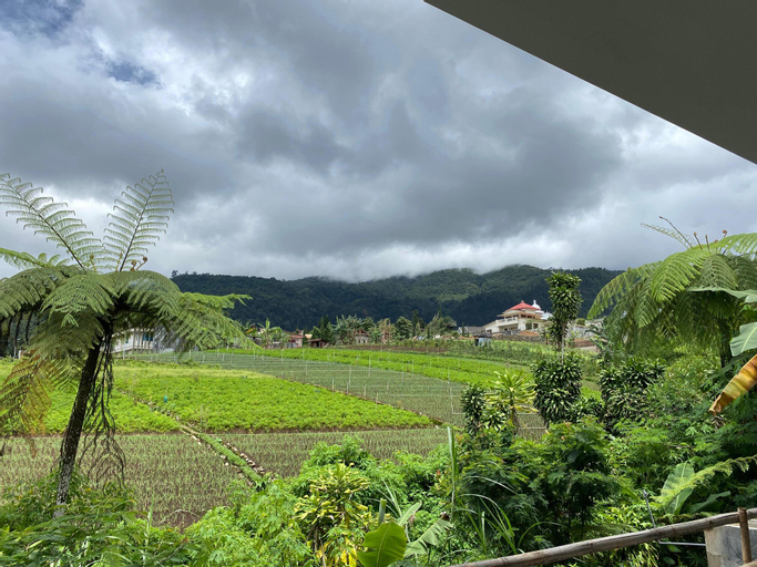 Scenery 17