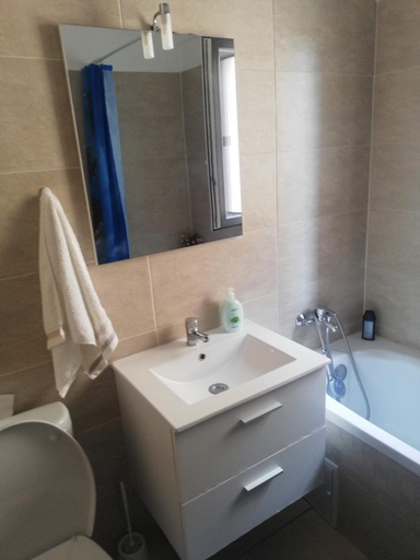 Bathroom 4, Ella Doo Apartament • 15'▶Palas, Ciurea