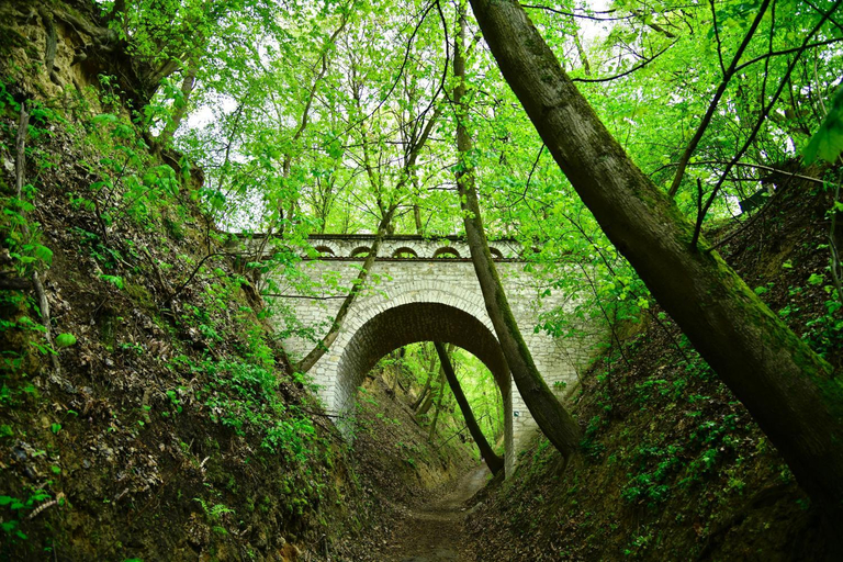 Others 5, Kamienica Biala, Puławy