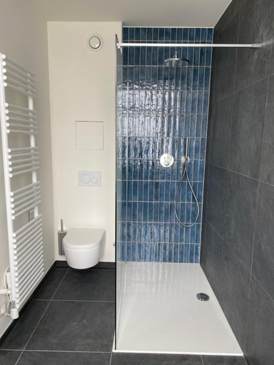 Bathroom 3, Petit-Roannay, Liège
